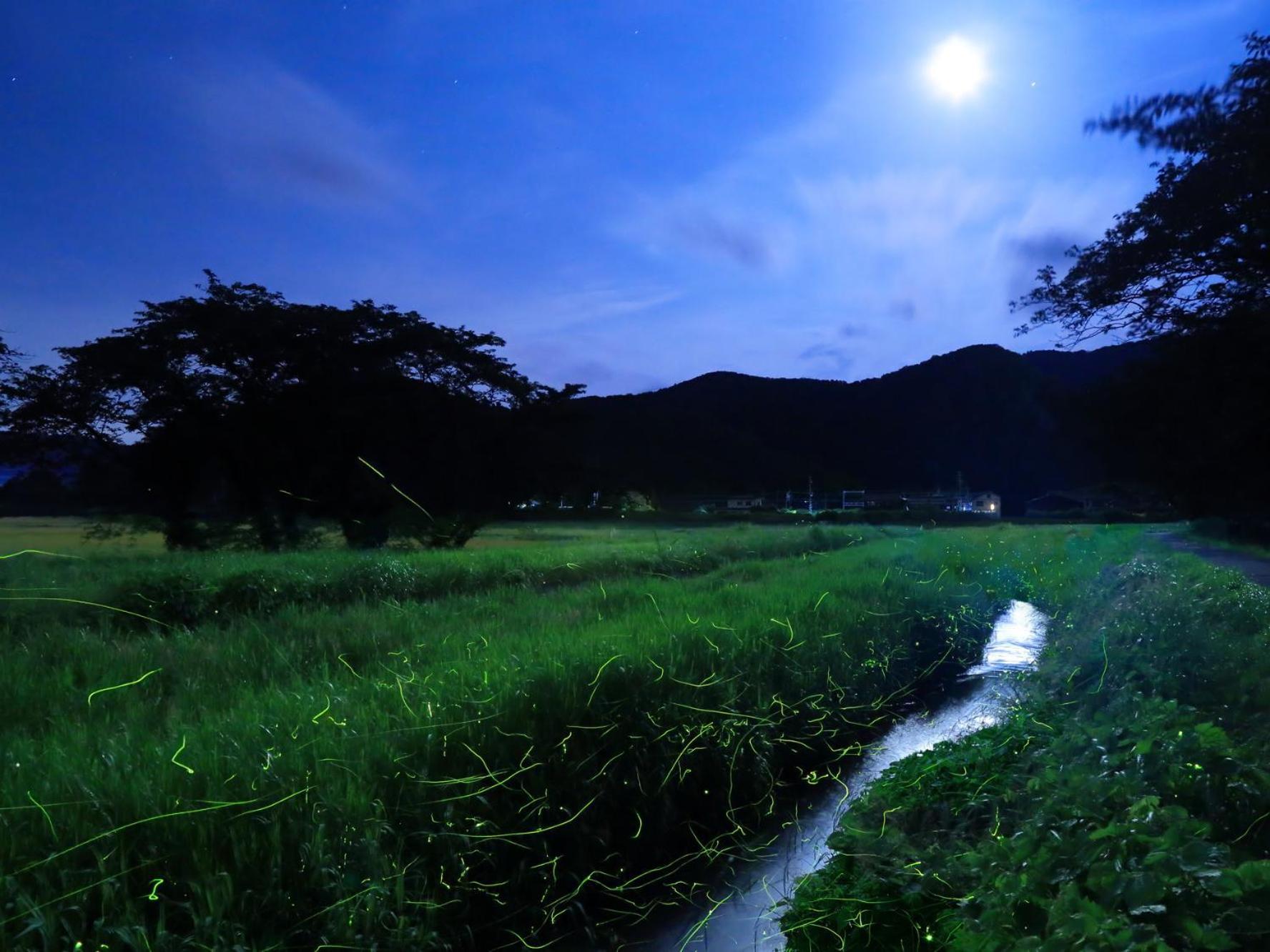 瀬見温泉 ゆめみの宿 観松館 最上町 エクステリア 写真